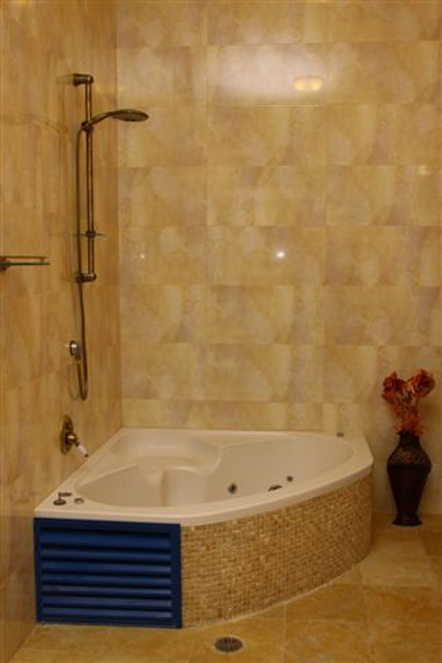 תמונה של מחולה