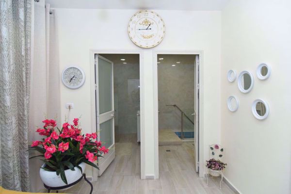 תמונה של נבטים - איילת השחר