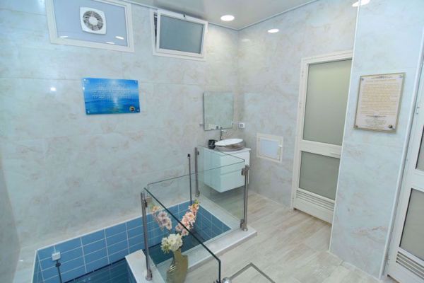 תמונה של נבטים - איילת השחר