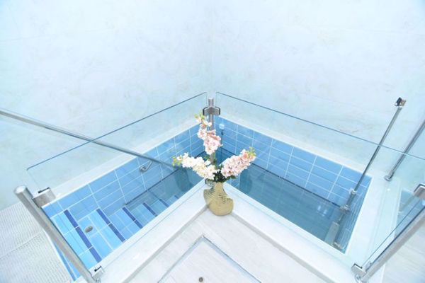 תמונה של נבטים - איילת השחר