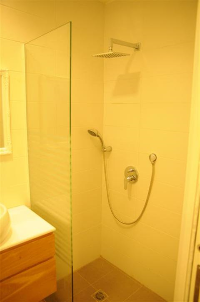 תמונה של סנסנה