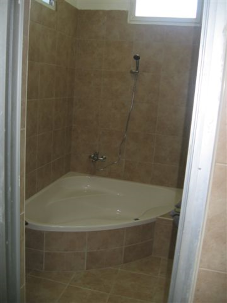 תמונה של שפר