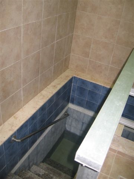 תמונה של שפר